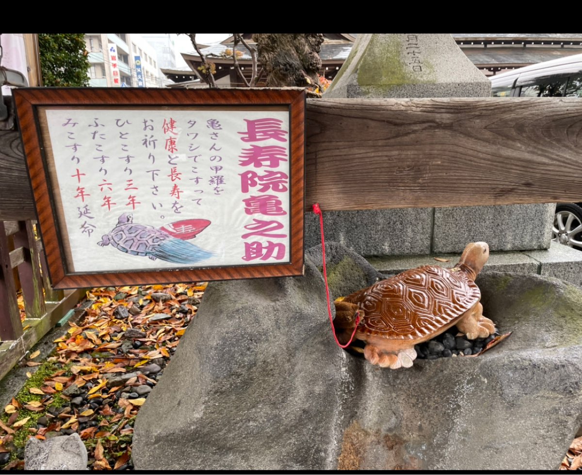 櫻山神社 | 去趣 chicTrip