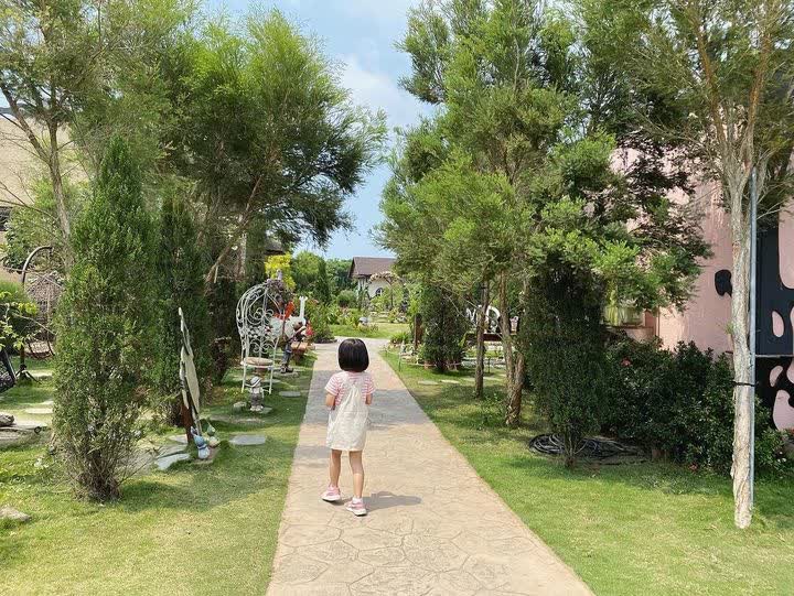 艾米達精靈谷茶樹莊園 | 去趣 chicTrip