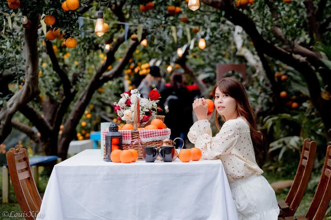 橙香森林 | 去趣 chicTrip