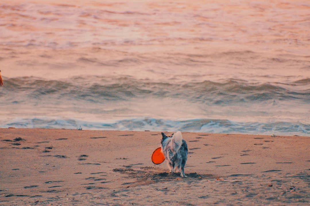 黃金海岸 | 去趣 chicTrip