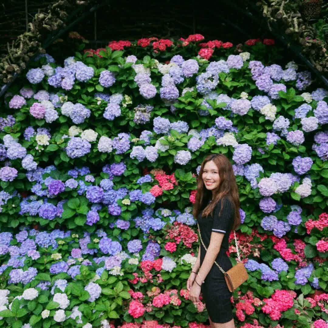 花露農場 Flower Home | 去趣 chicTrip