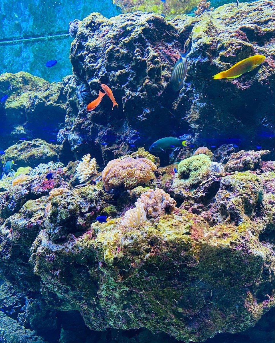 Xpark 水族館 | 去趣 chicTrip