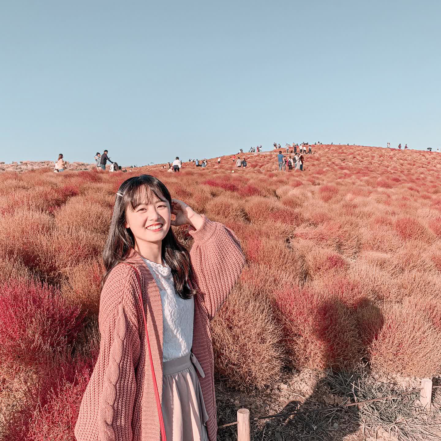 國營常陸海濱公園 | 去趣 chicTrip