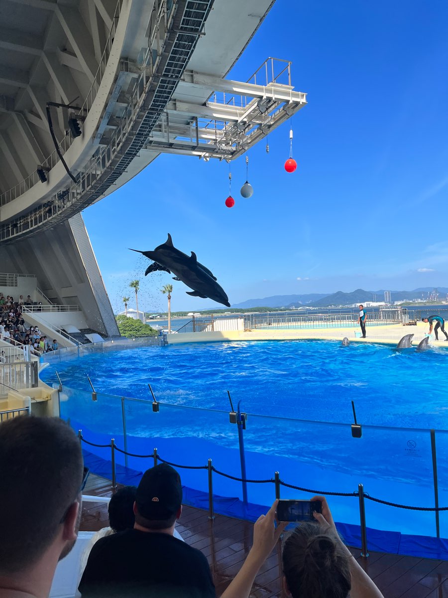 海洋世界海之中道 | 去趣 chicTrip