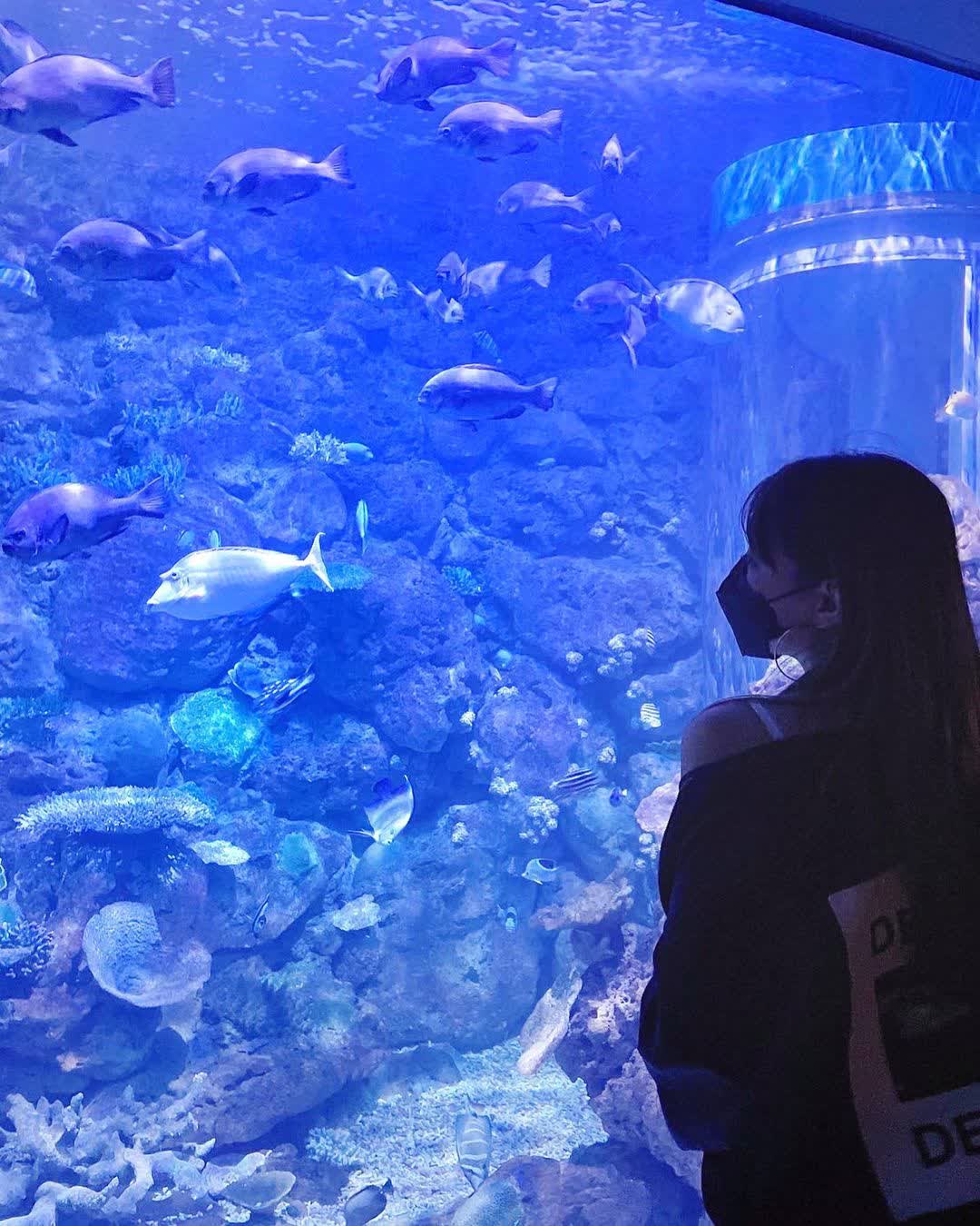 國立海洋生物博物館 | 去趣 chicTrip