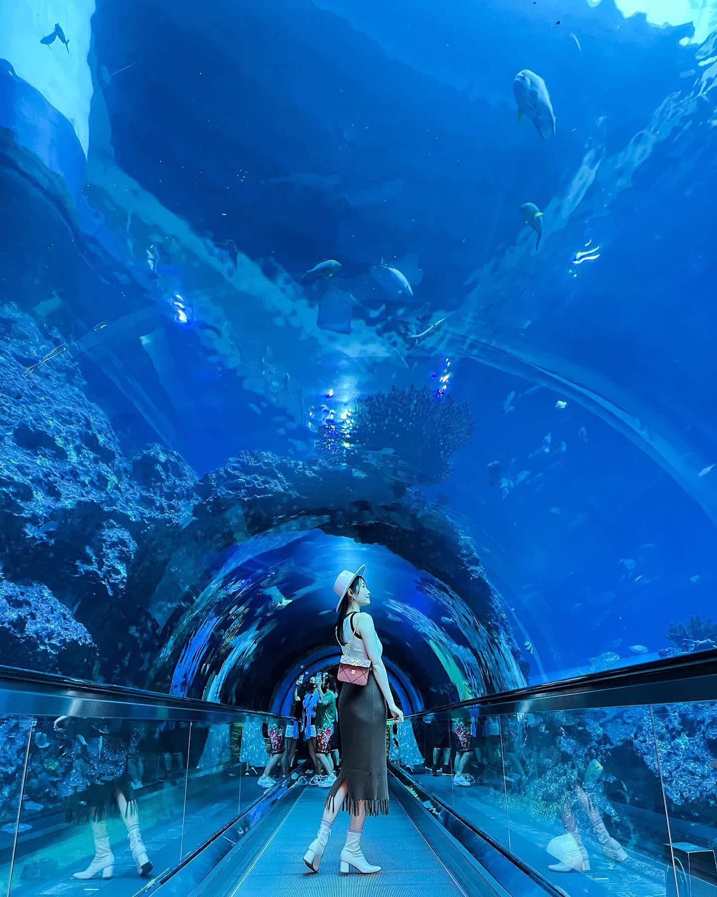 國立海洋生物博物館 | 去趣 chicTrip