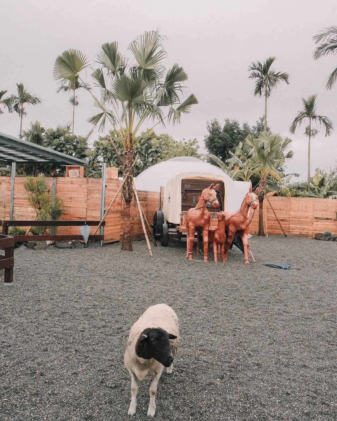 回巢農場 | 去趣 chicTrip