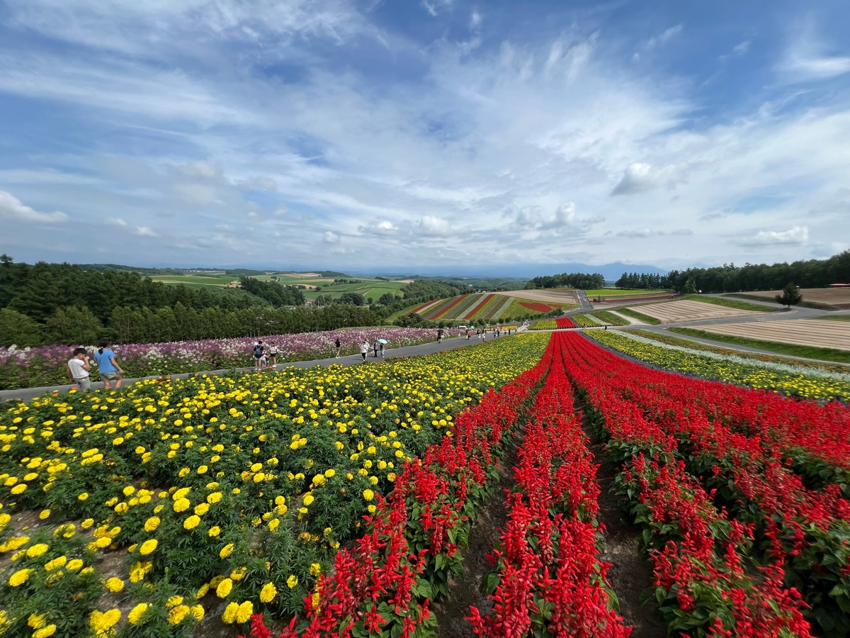 四季彩之丘 | 去趣 chicTrip