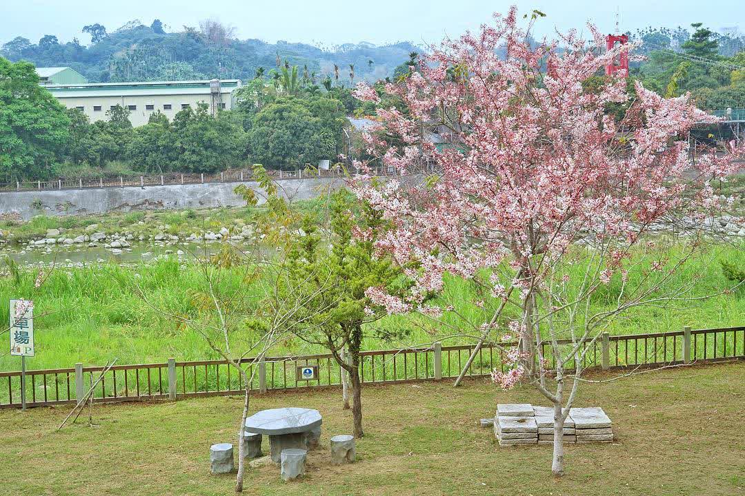 竹崎親水公園 | 去趣 chicTrip