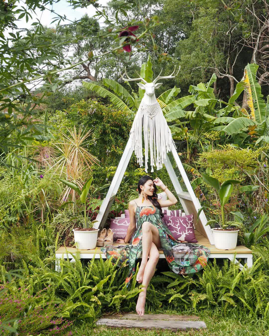 鹿角café | 去趣 chicTrip