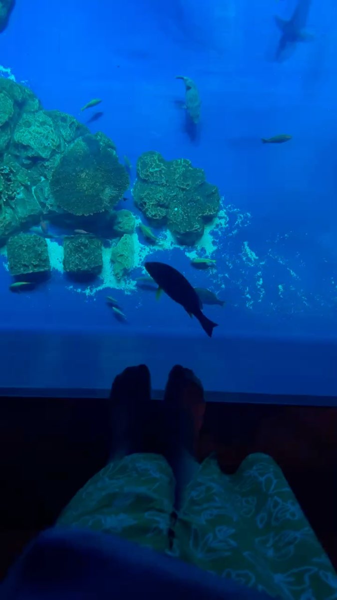 DMM Kariyushi水族館 | 去趣 chicTrip