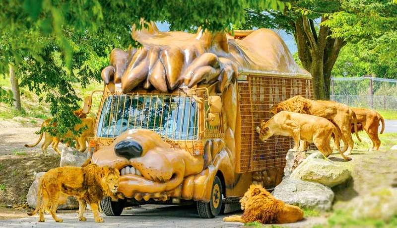 九州自然動物園 | 去趣 chicTrip