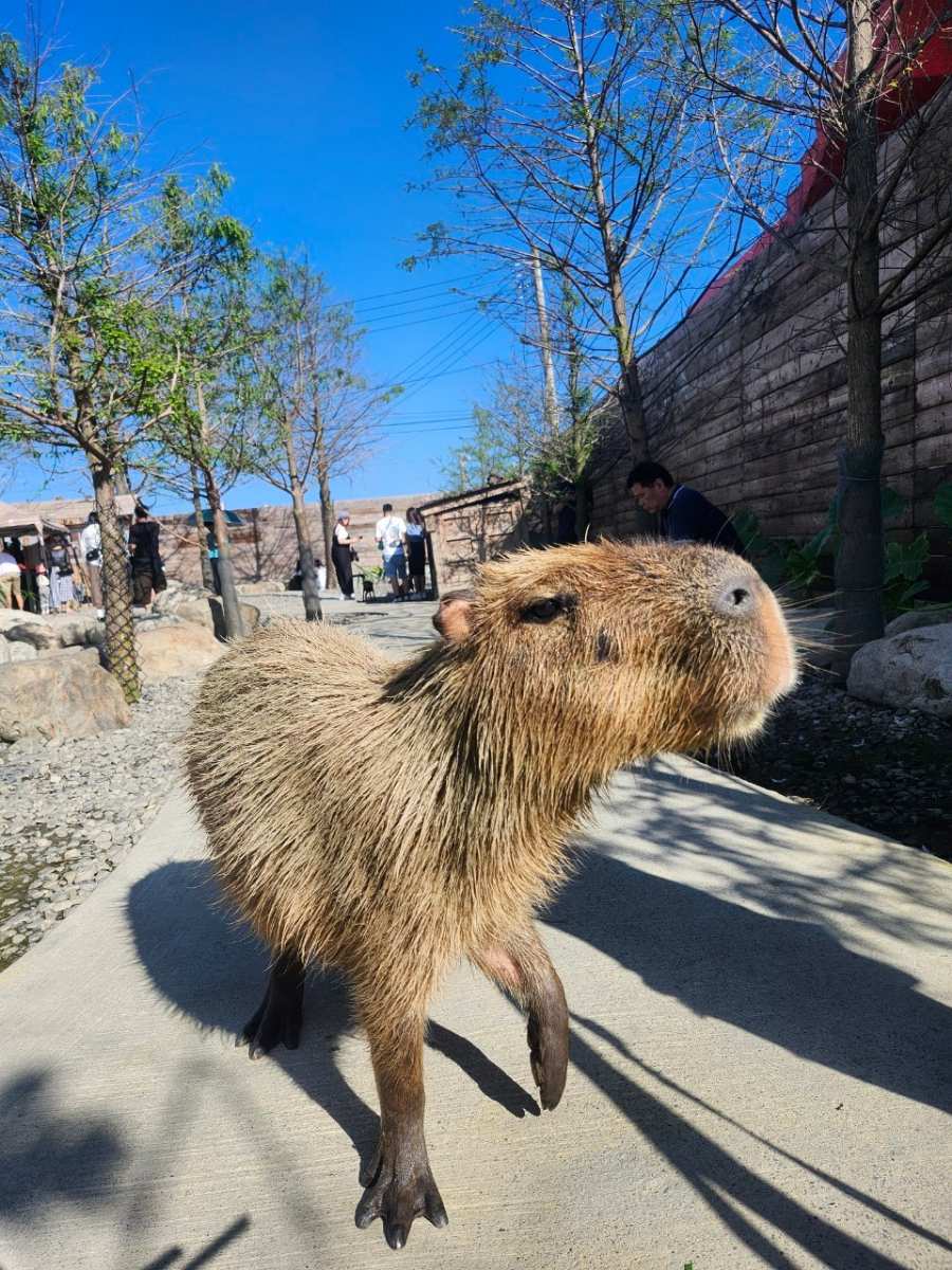 蘭陽動植物王國 | 去趣 chicTrip