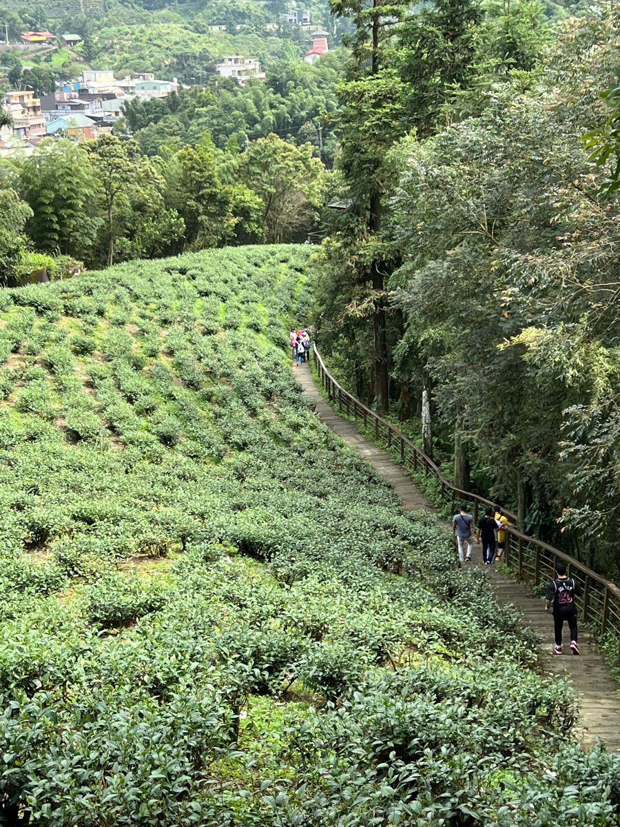 雲之南道步道 | 去趣 chicTrip