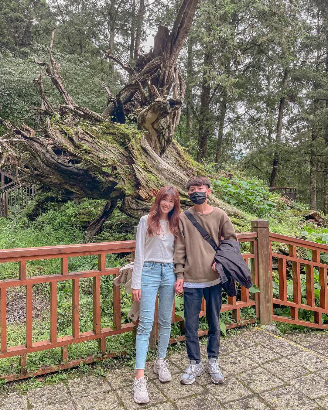 溪頭自然教育園區 | 去趣 chicTrip