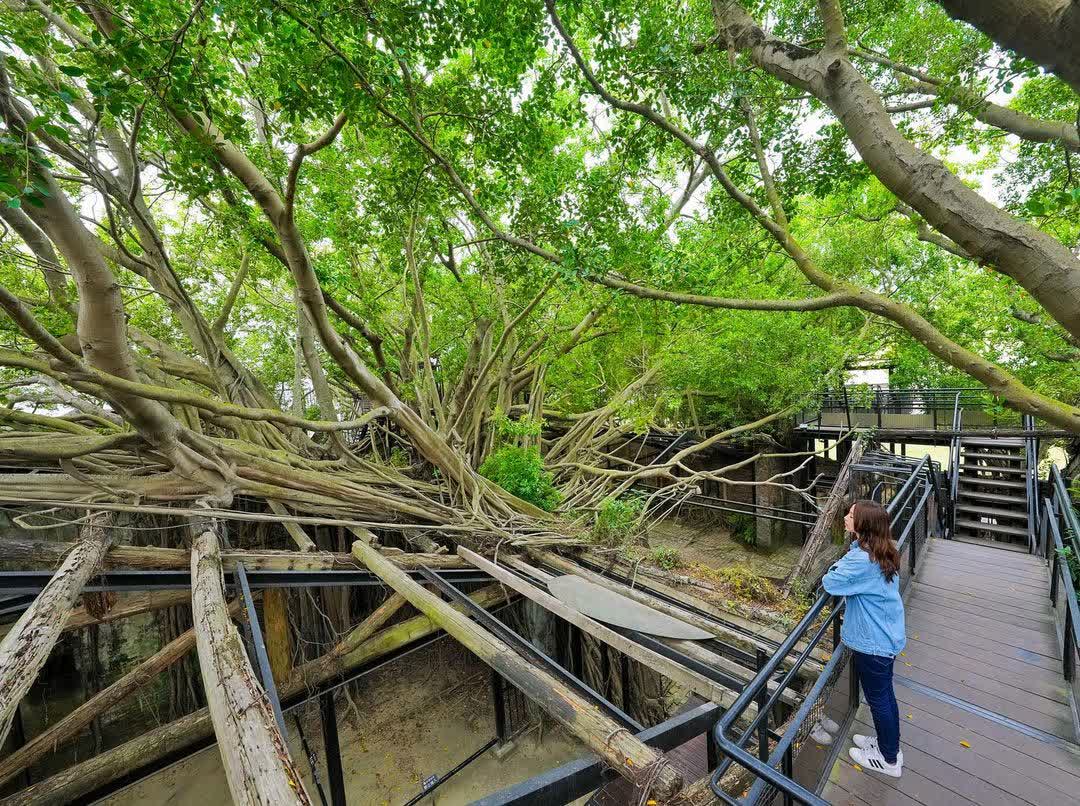 安平樹屋 | 去趣 chicTrip