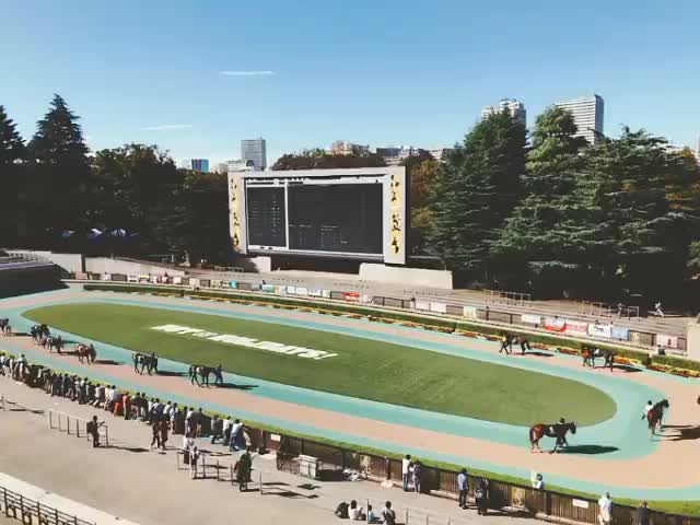 東京競馬場 | 去趣 chicTrip