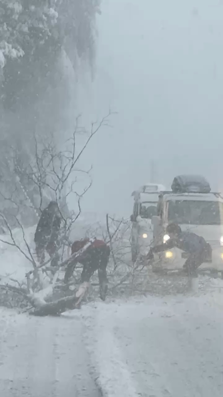 伊根舟屋 | 去趣 chicTrip