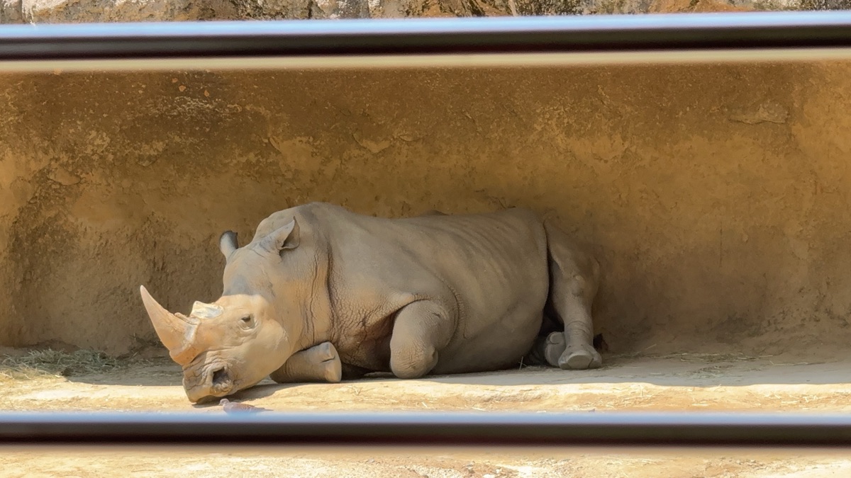 愛寶樂園 | 去趣 chicTrip