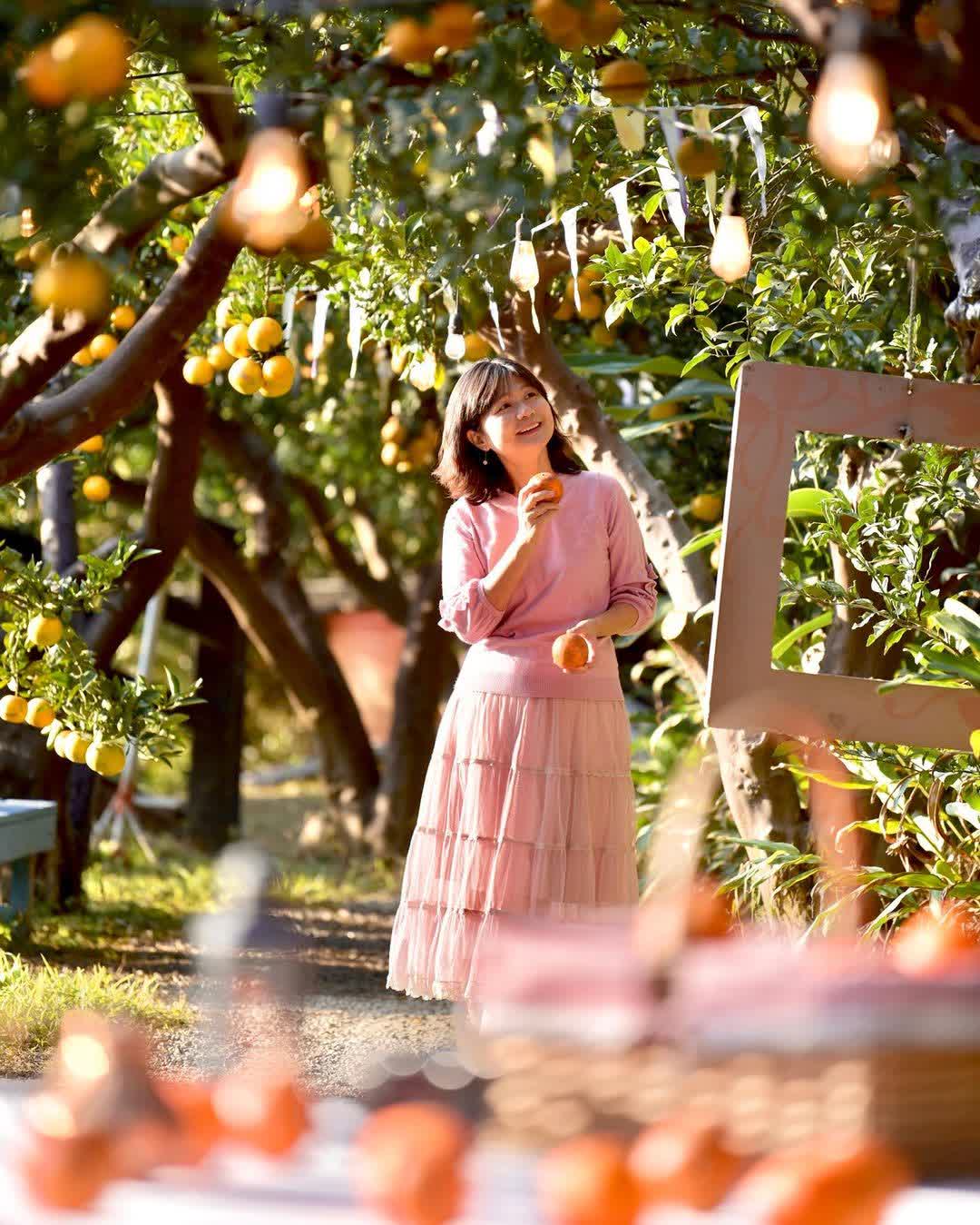 橙香森林 | 去趣 chicTrip