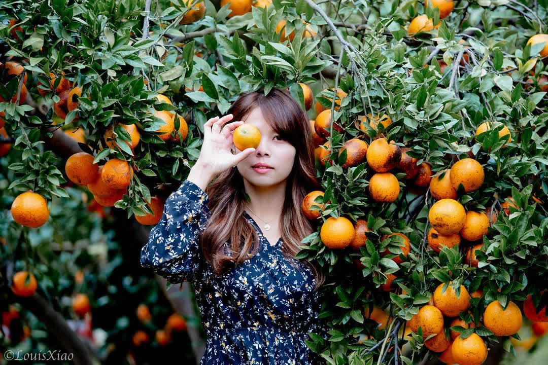 橙香森林 | 去趣 chicTrip