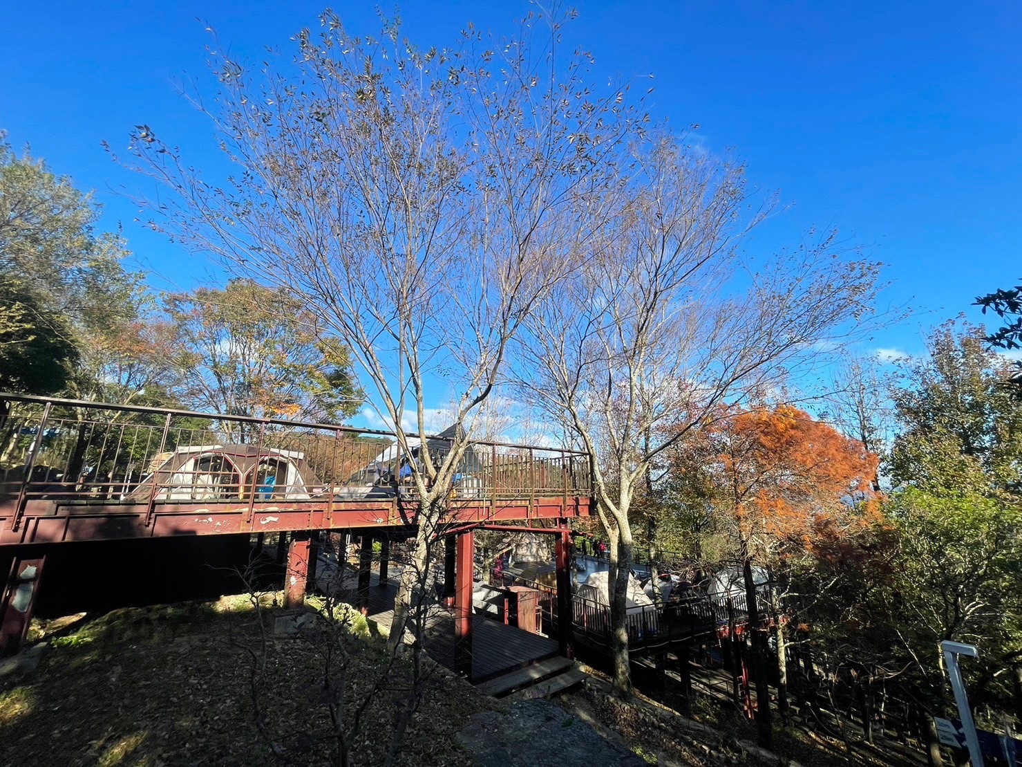 碧山露營場 | 去趣 chicTrip