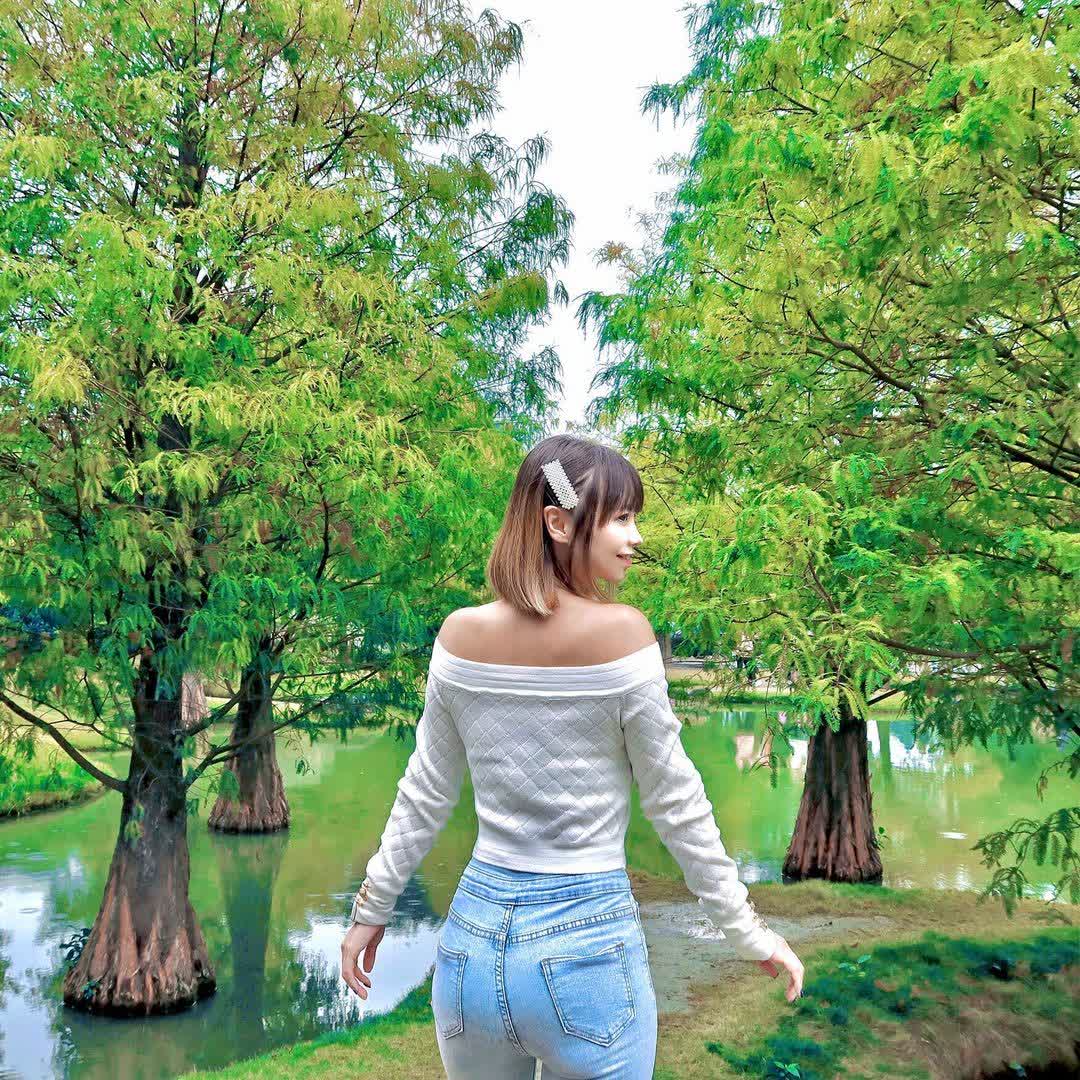 青埔落羽松秘境