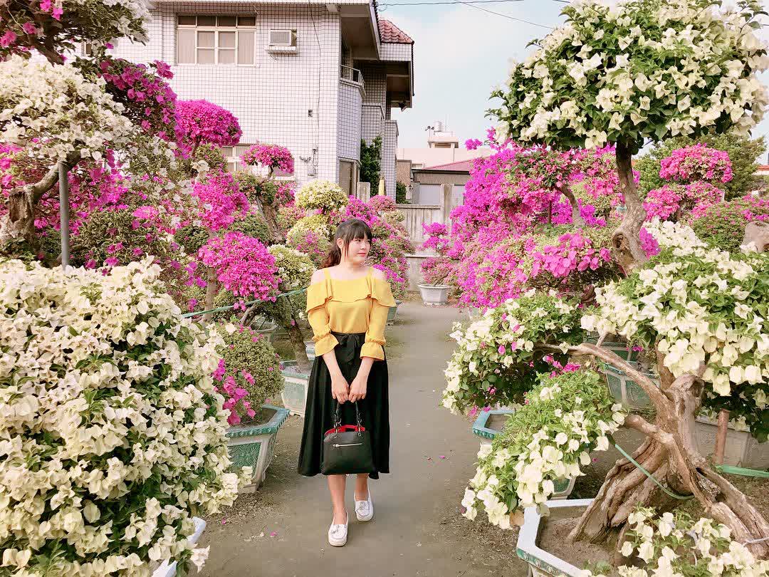 輝豐園藝 | 去趣 chicTrip