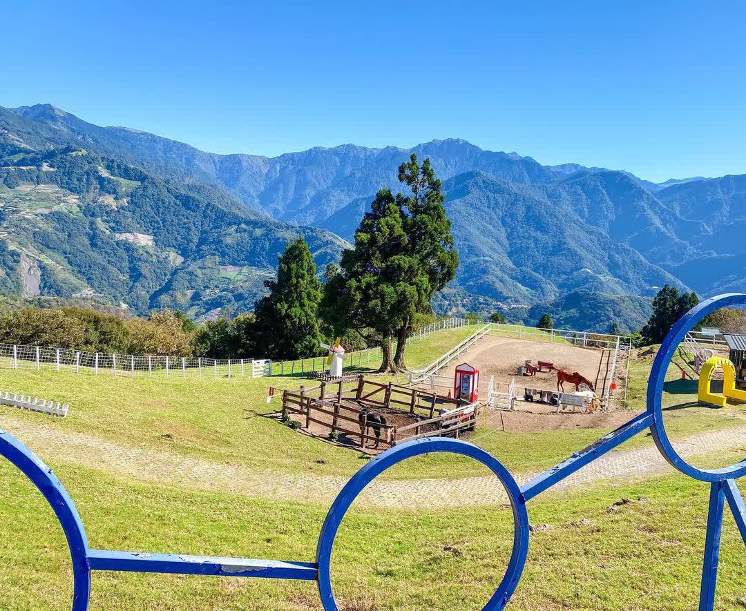 清境農場綿羊秀 | 去趣 chicTrip