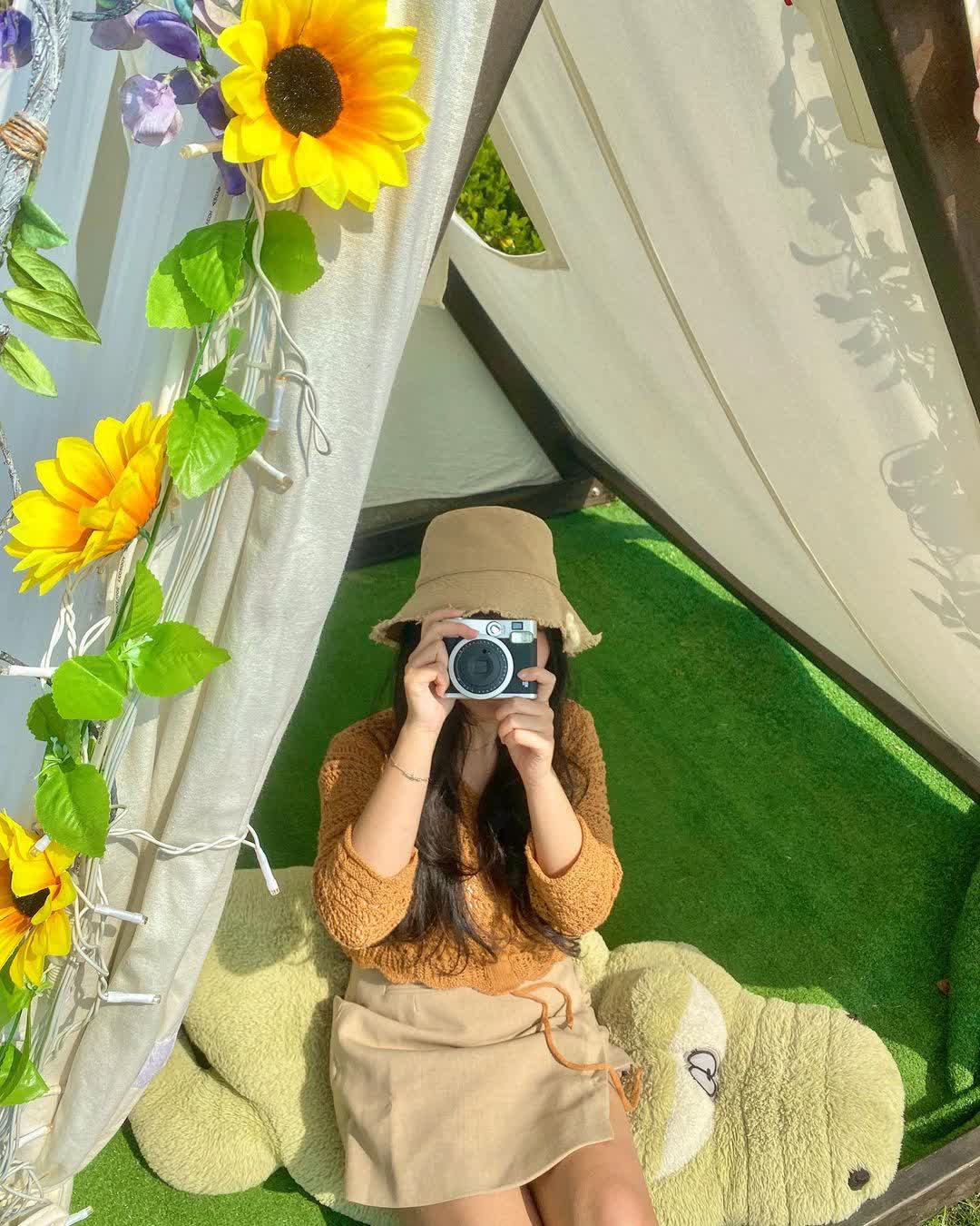 極光森林 Aurora Forest | 去趣 chicTrip