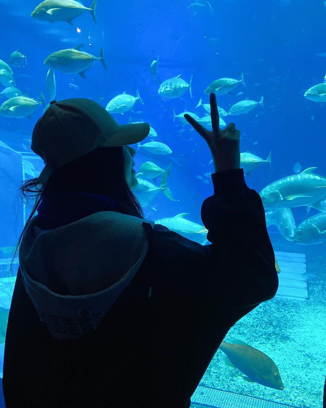 沖繩美麗海水族館 | 去趣 chicTrip