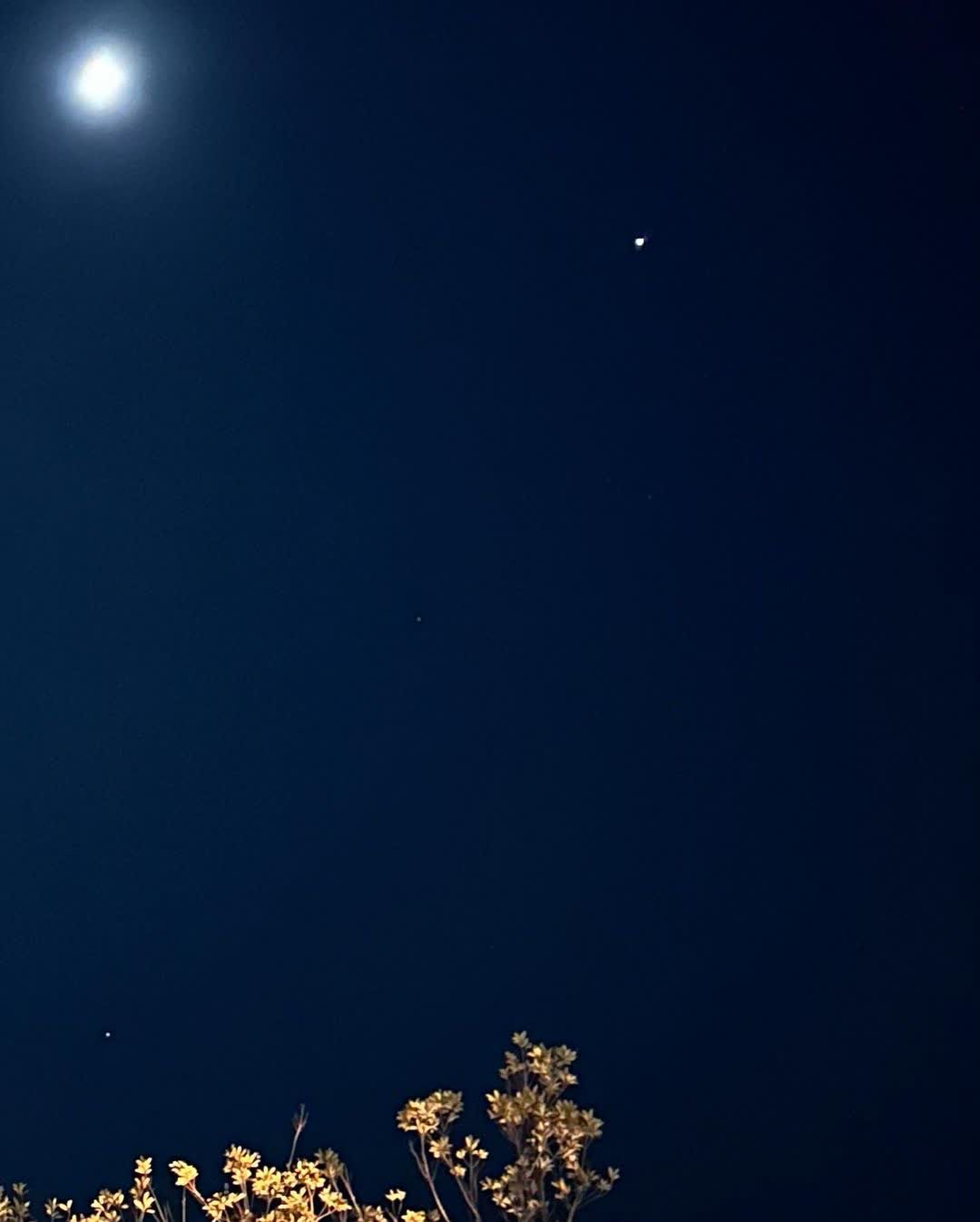 東京迪士尼度假區 | 去趣 chicTrip