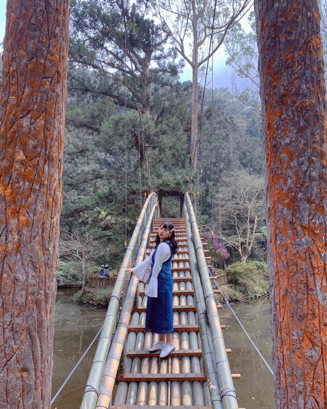 溪頭自然教育園區 | 去趣 chicTrip