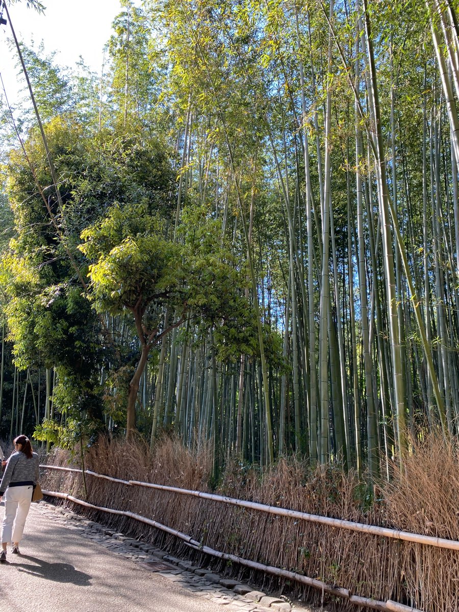 嵐山竹林小徑 | 去趣 chicTrip