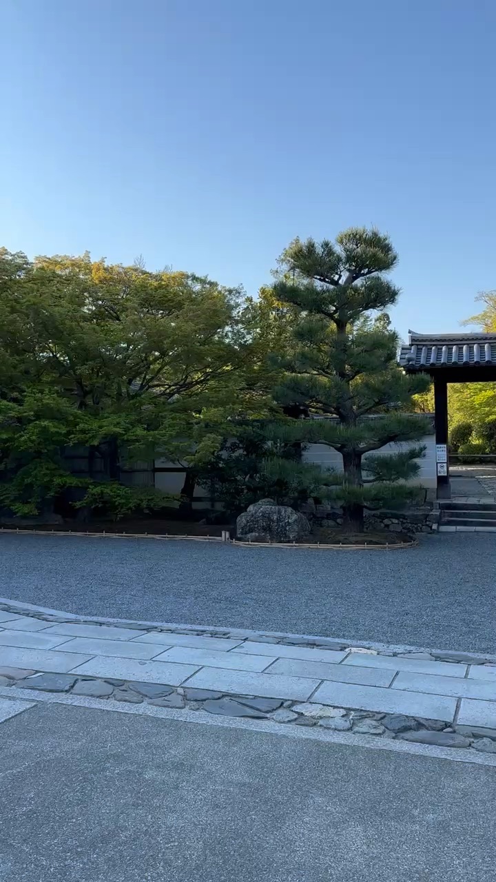 天龍寺 | 去趣 chicTrip