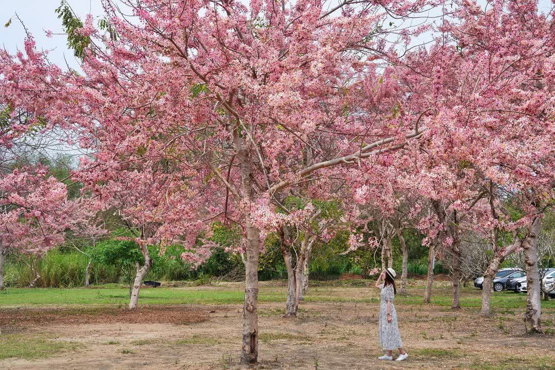 近水樓台湖畔森林咖啡 | 去趣 chicTrip