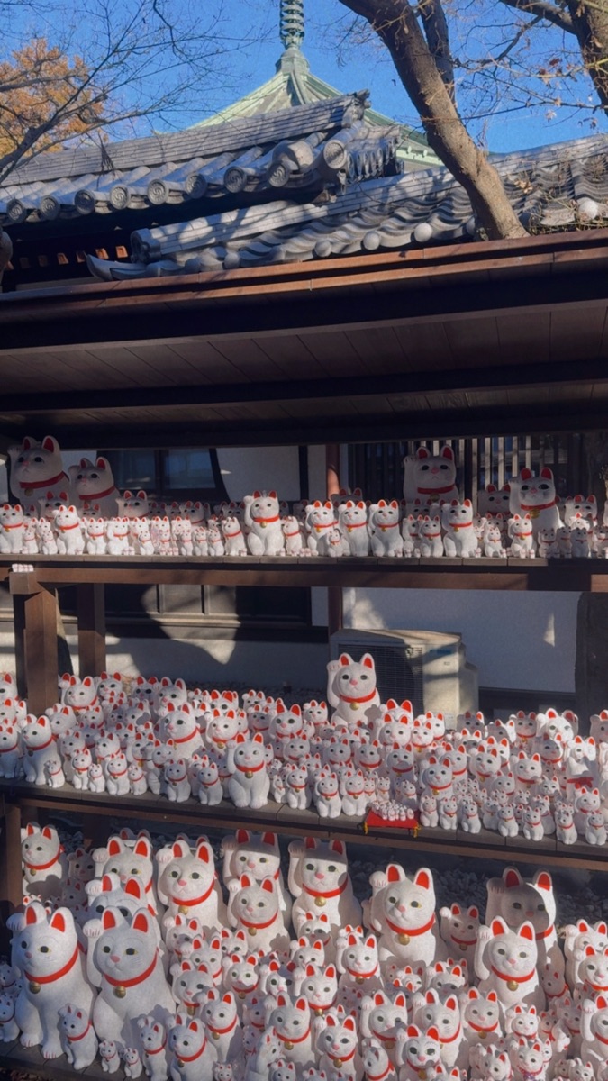 世田谷 豪德寺 | 去趣 chicTrip