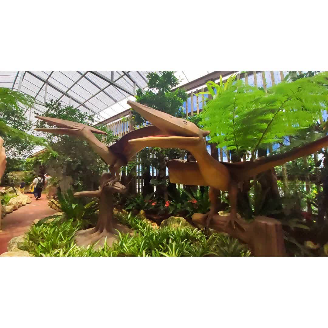 Nago Pineapple Park | 去趣 chicTrip