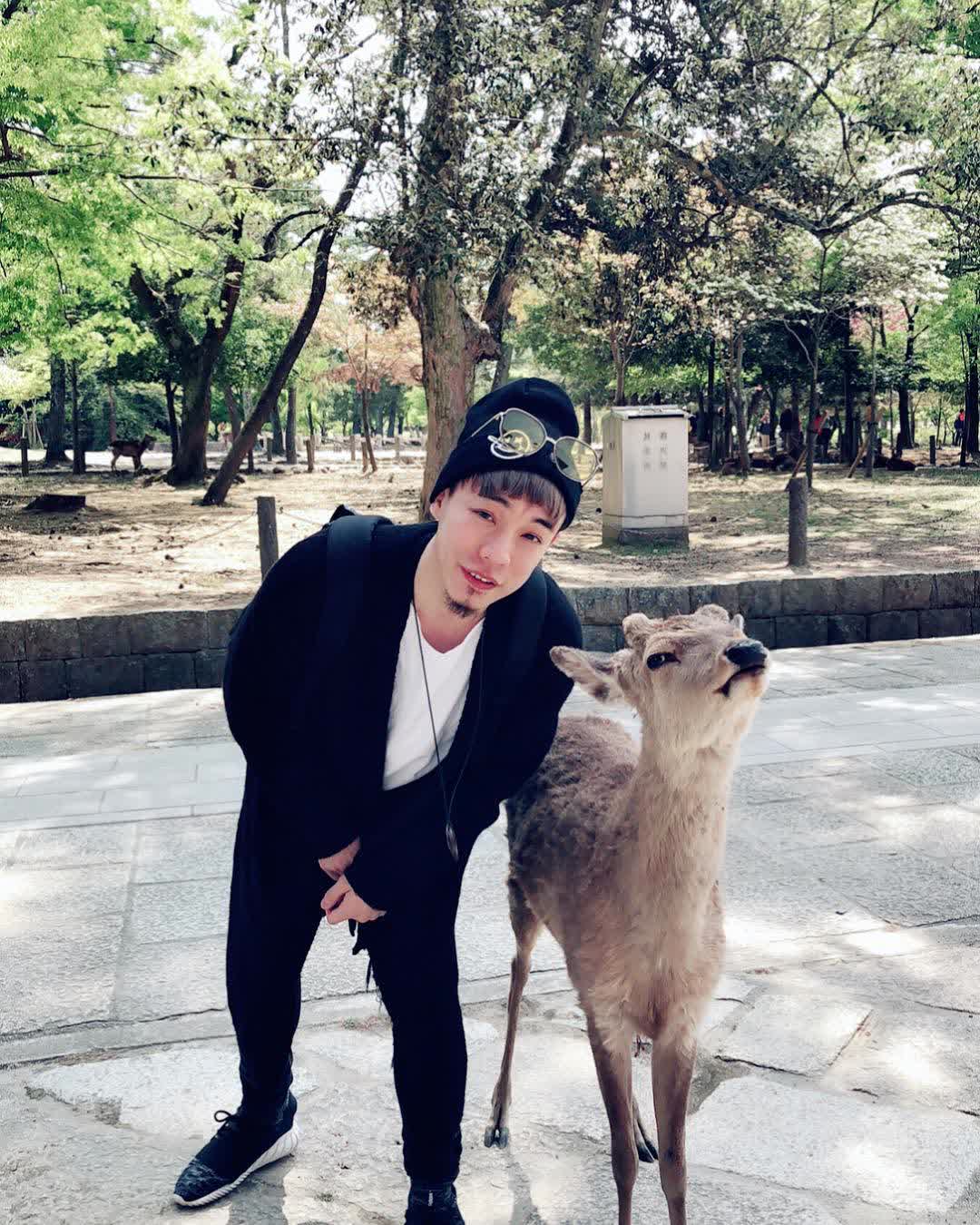 奈良公園 | 去趣 chicTrip