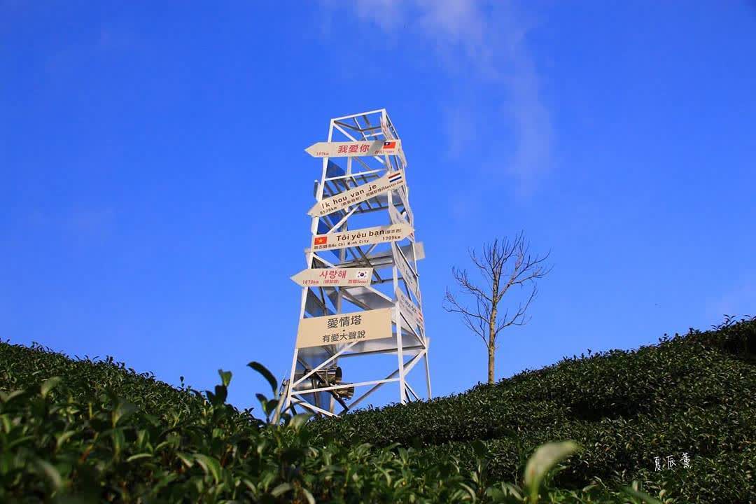 一三一四觀景台 | 去趣 chicTrip