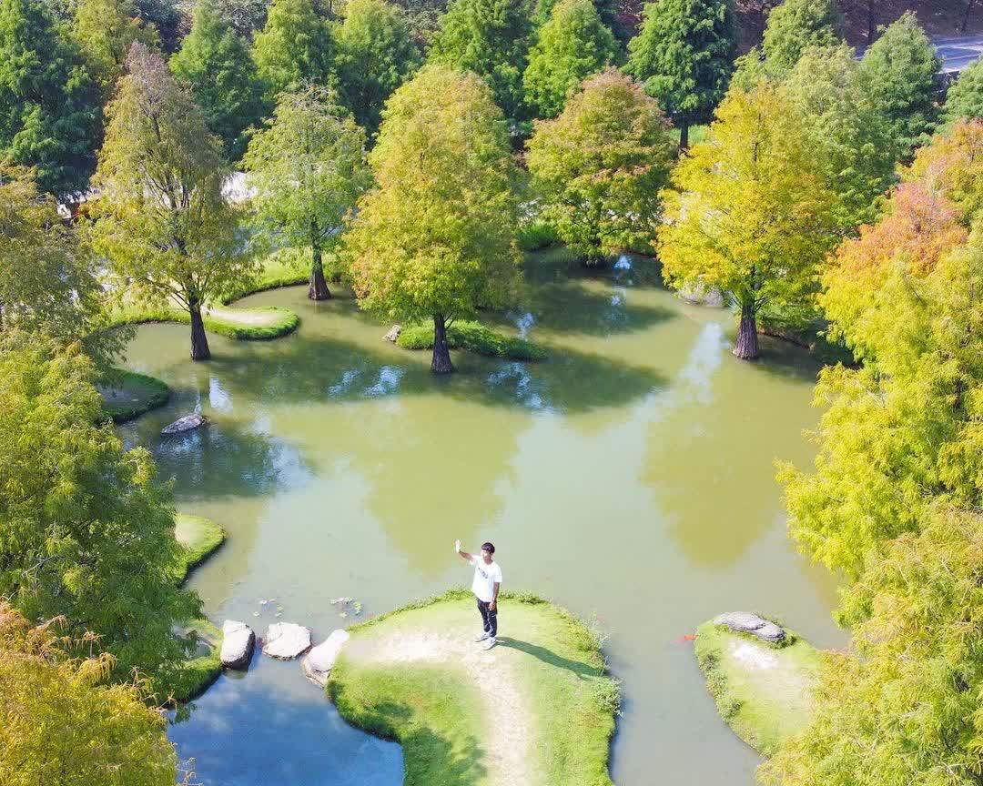 青埔落羽松秘境 | 去趣 chicTrip