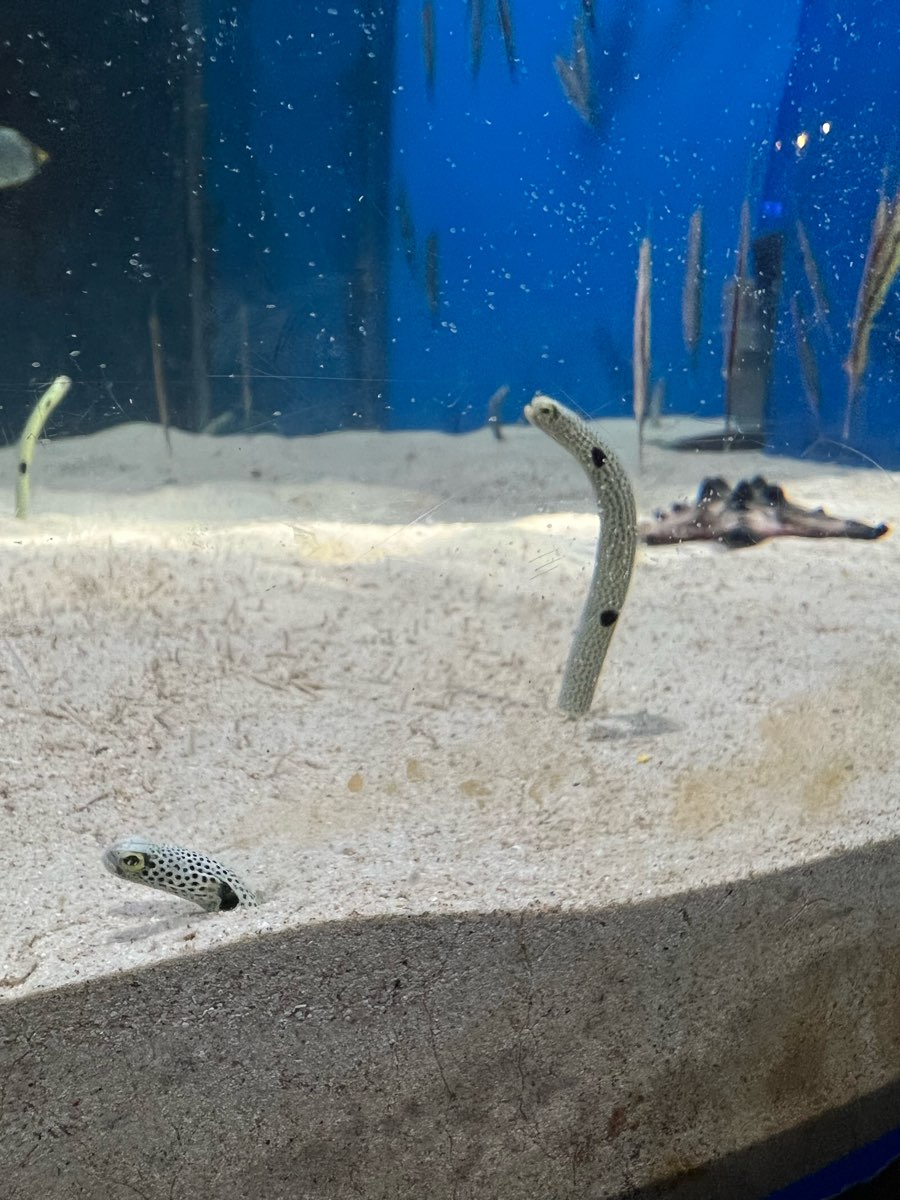 遠雄海洋公園 | 去趣 chicTrip