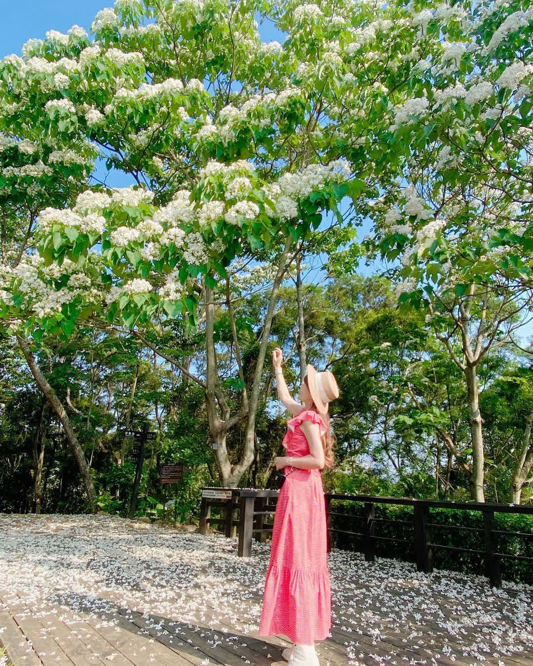 臺灣客家文化館 | 去趣 chicTrip