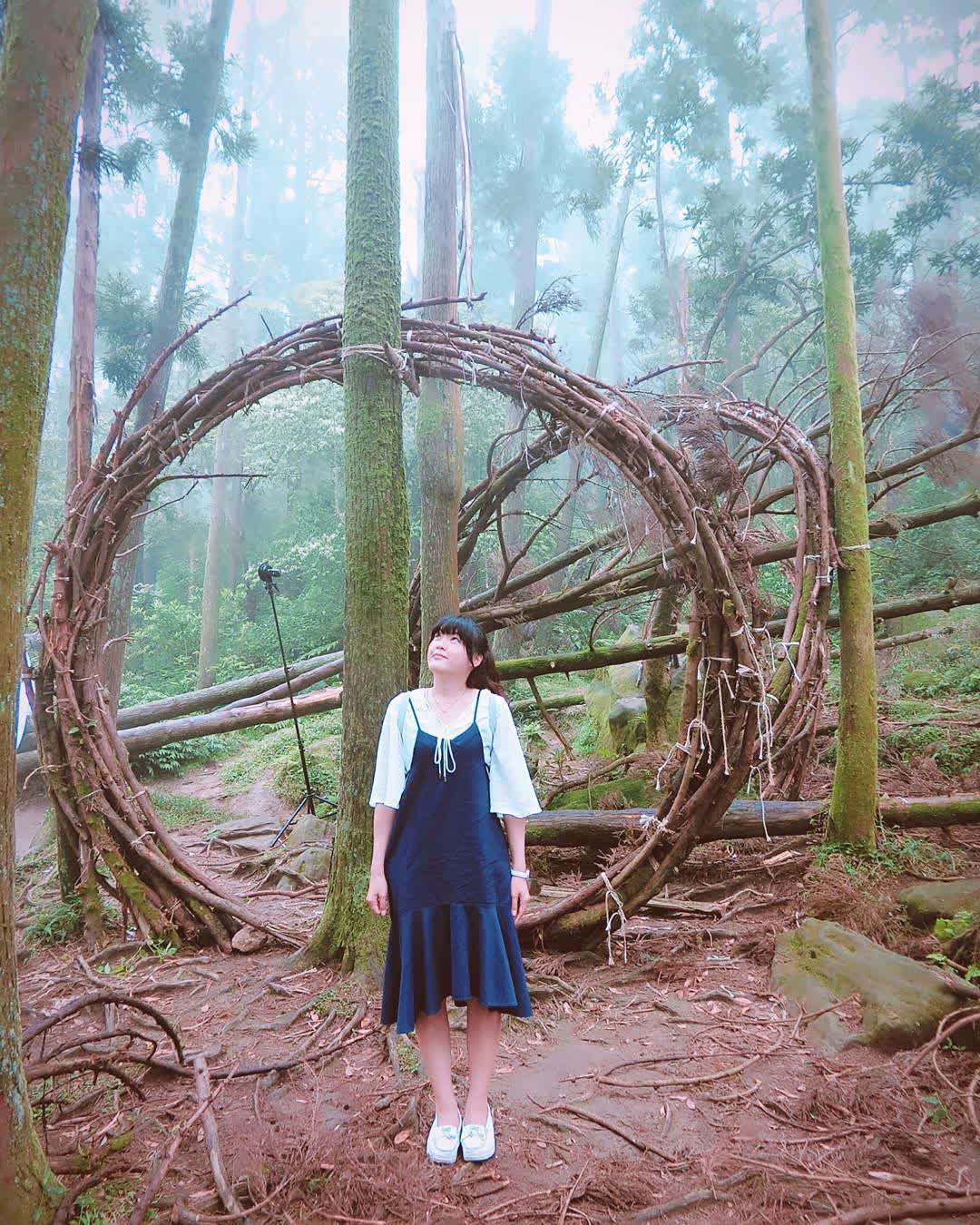 竹子湖 | 去趣 chicTrip