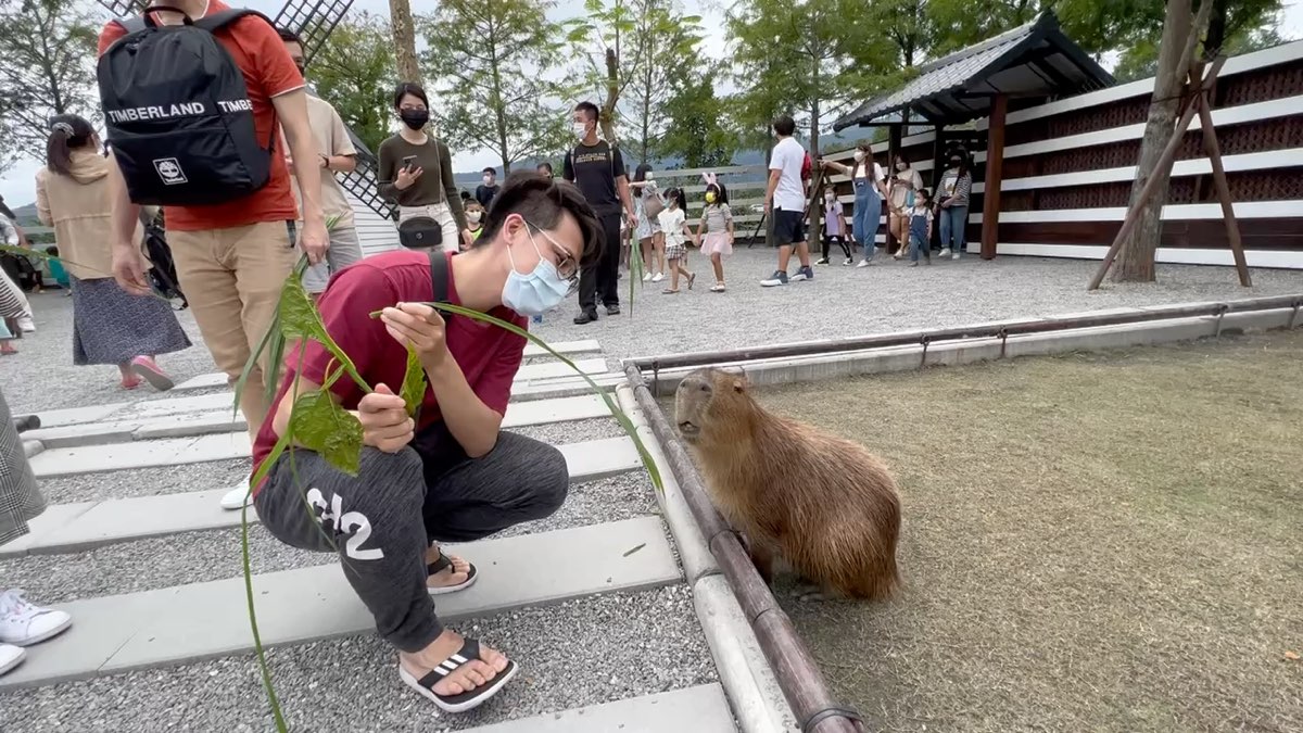 張美阿嬤農場（月森甯手作工坊） | 去趣 chicTrip