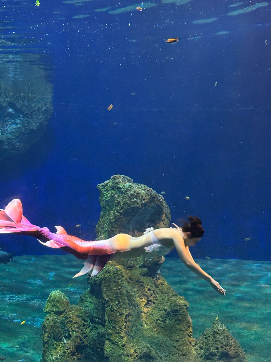 遠雄海洋公園 | 去趣 chicTrip