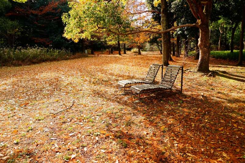 Natural and Cultural Gardens | 去趣 chicTrip