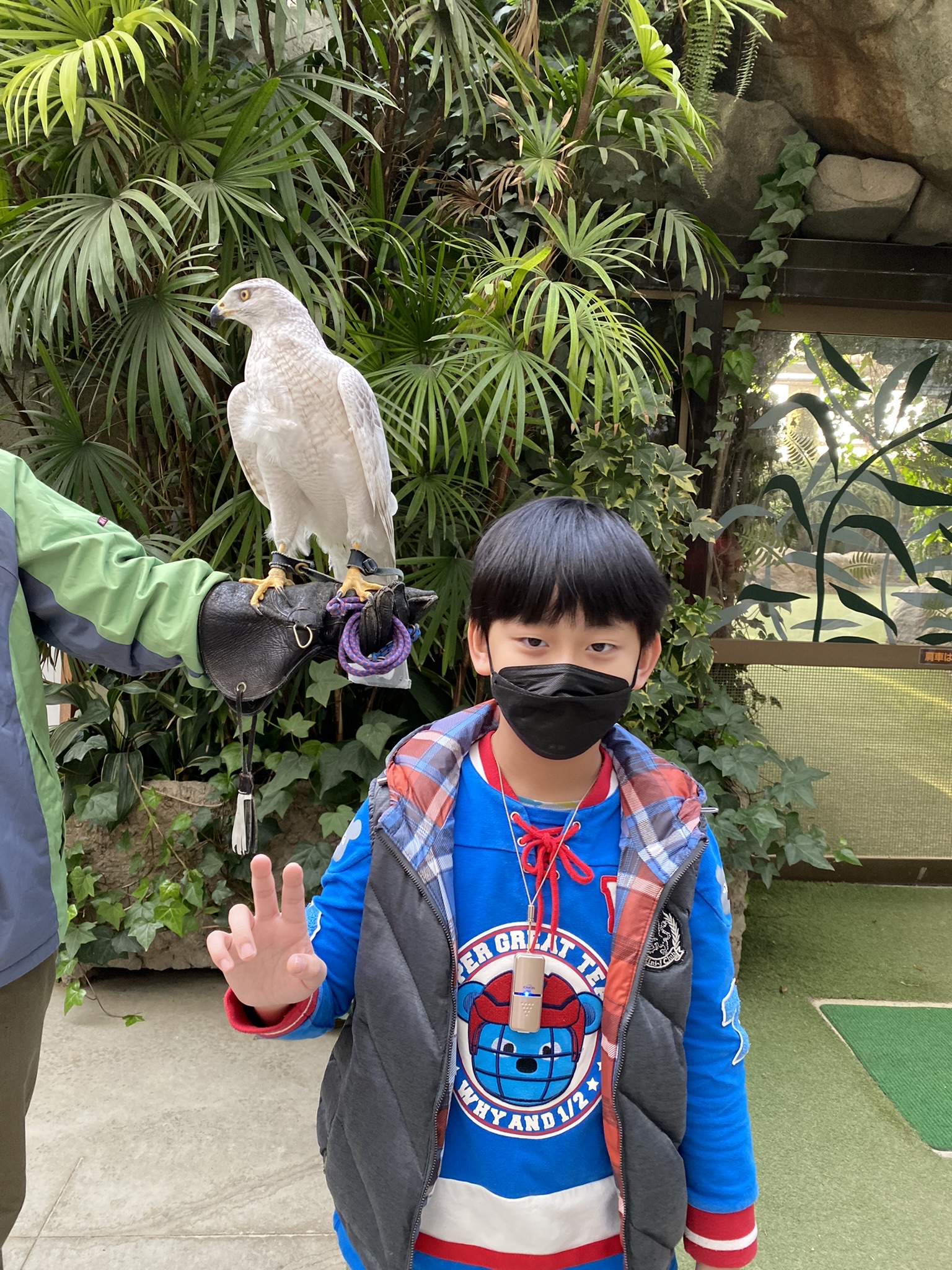 神戶動物王國 | 去趣 chicTrip