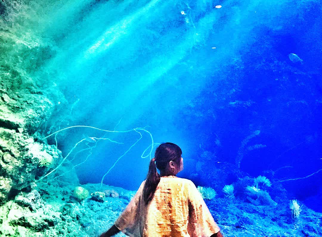 沖繩美麗海水族館 | 去趣 chicTrip