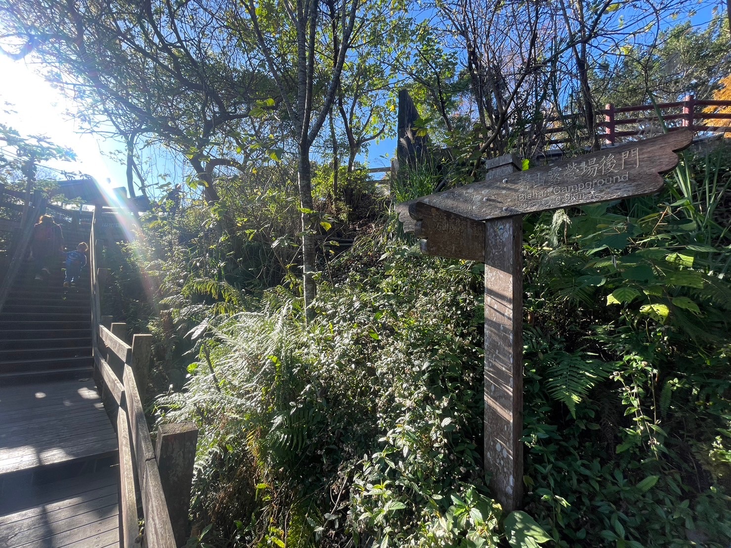 碧山露營場 | 去趣 chicTrip